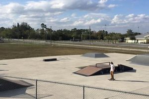 Naples Skate Park Fun: Skateboarding in Naples, FL | Learn to Surf & Skate: A Beginner's Step-by-Step Guide