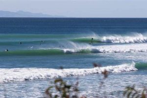 Your Guide to Surfing in Malibu Beach, CA - Waves Await! | Learn to Surf & Skate: A Beginner's Step-by-Step Guide