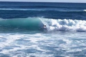 Live PKS Surf Cam: See PKS Beach Waves Now! Learn to Surf & Skate: A Beginner's Step-by-Step Guide Live PKS Surf Cam: See PKS Beach Waves Now! | Learn to Surf & Skate: A Beginner's Step-by-Step Guide