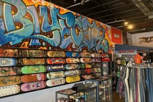 Best Colorado Skate Shops: Gear & Community! Learn to Surf & Skate: A Beginner's Step-by-Step Guide Best Colorado Skate Shops: Gear & Community! | Learn to Surf & Skate: A Beginner's Step-by-Step Guide