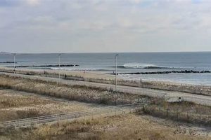 Your Rockaway Surf Report: Conditions & Forecasts Now Learn to Surf & Skate: A Beginner's Step-by-Step Guide Your Rockaway Surf Report: Conditions & Forecasts Now | Learn to Surf & Skate: A Beginner's Step-by-Step Guide