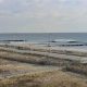 Your Rockaway Surf Report: Conditions &amp; Forecasts Now | Learn to Surf & Skate: A Beginner's Step-by-Step Guide