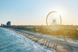 Your Guide: Twilight Surf Myrtle Beach, SC at Dusk! Learn to Surf & Skate: A Beginner's Step-by-Step Guide Your Guide: Twilight Surf Myrtle Beach, SC at Dusk! | Learn to Surf & Skate: A Beginner's Step-by-Step Guide