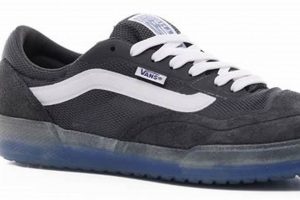 The Best Vans Pro Skate Shoes: Durability & Style! | Learn to Surf & Skate: A Beginner's Step-by-Step Guide