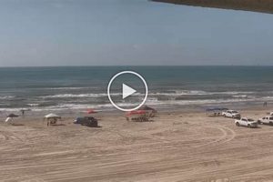 Live Crystal Beach Surf Cam: [Now Surfing] Conditions | Learn to Surf & Skate: A Beginner's Step-by-Step Guide