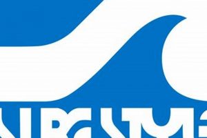 Discover Surf Style Orange Beach: Waves & Lifestyle! Learn to Surf & Skate: A Beginner's Step-by-Step Guide Discover Surf Style Orange Beach: Waves & Lifestyle! | Learn to Surf & Skate: A Beginner's Step-by-Step Guide