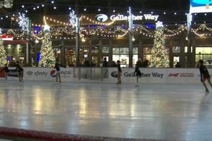 Find: Where to Ice Skate Near Me (NOW!) Local Rinks Learn to Surf & Skate: A Beginner's Step-by-Step Guide Find: Where to Ice Skate Near Me (NOW!) Local Rinks | Learn to Surf & Skate: A Beginner's Step-by-Step Guide