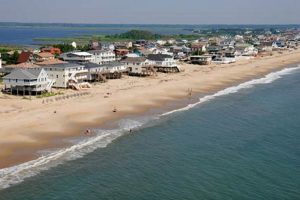 Sandbridge Surf Report: Virginia Beach Waves Now! | Learn to Surf & Skate: A Beginner's Step-by-Step Guide