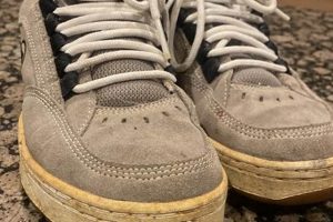 Best Vintage Skate Shoes: Styles & History | Learn to Surf & Skate: A Beginner's Step-by-Step Guide