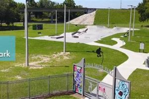 Ocala's Best Skate Park: Ride Ocala FL + Tips! Learn to Surf & Skate: A Beginner's Step-by-Step Guide Ocala's Best Skate Park: Ride Ocala FL + Tips! | Learn to Surf & Skate: A Beginner's Step-by-Step Guide