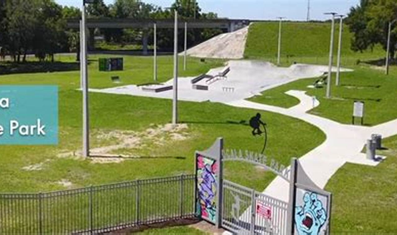 Ocala's Best Skate Park: Ride Ocala FL + Tips! | Learn to Surf & Skate: A Beginner's Step-by-Step Guide