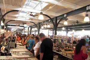 NOLA Skate Shops: Your Guide to New Orleans Skateboarding | Learn to Surf & Skate: A Beginner's Step-by-Step Guide