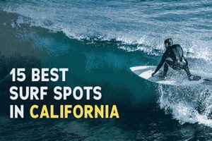 Find Your Surf: Southern California Surf Report Today! Learn to Surf & Skate: A Beginner's Step-by-Step Guide Find Your Surf: Southern California Surf Report Today! | Learn to Surf & Skate: A Beginner's Step-by-Step Guide
