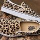 Wild Style: Leopard Vans Slip-On Skate Shoes Today! | Learn to Surf & Skate: A Beginner's Step-by-Step Guide