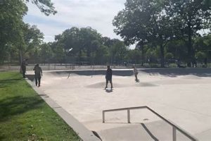 Bronx Skate: Williamsbridge Oval Skate Park Guide & More | Learn to Surf & Skate: A Beginner's Step-by-Step Guide