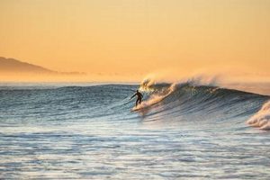 Surf's Up! Best Surfing Beaches in California Guide | Learn to Surf & Skate: A Beginner's Step-by-Step Guide