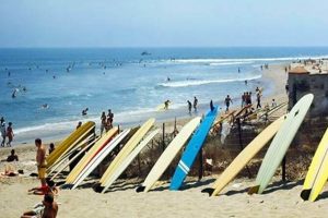 Guide to Malibu Beach Surfing: Waves, Tips & More! | Learn to Surf & Skate: A Beginner's Step-by-Step Guide