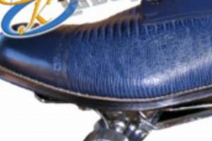 Sk8 Fanatics Custom Roller Skates: Unleash Your Style! | Learn to Surf & Skate: A Beginner's Step-by-Step Guide