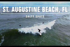 Your Guide: St Augustine Beach Surf Report + More Learn to Surf & Skate: A Beginner's Step-by-Step Guide Your Guide: St Augustine Beach Surf Report + More | Learn to Surf & Skate: A Beginner's Step-by-Step Guide
