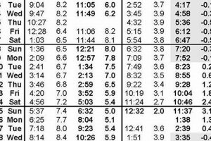 Surf City Tides: Current Tables & Best Surf Spots | Learn to Surf & Skate: A Beginner's Step-by-Step Guide