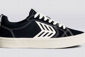 Best Cariuma Skate Shoes: Eco-Friendly & Durable! | Learn to Surf & Skate: A Beginner's Step-by-Step Guide