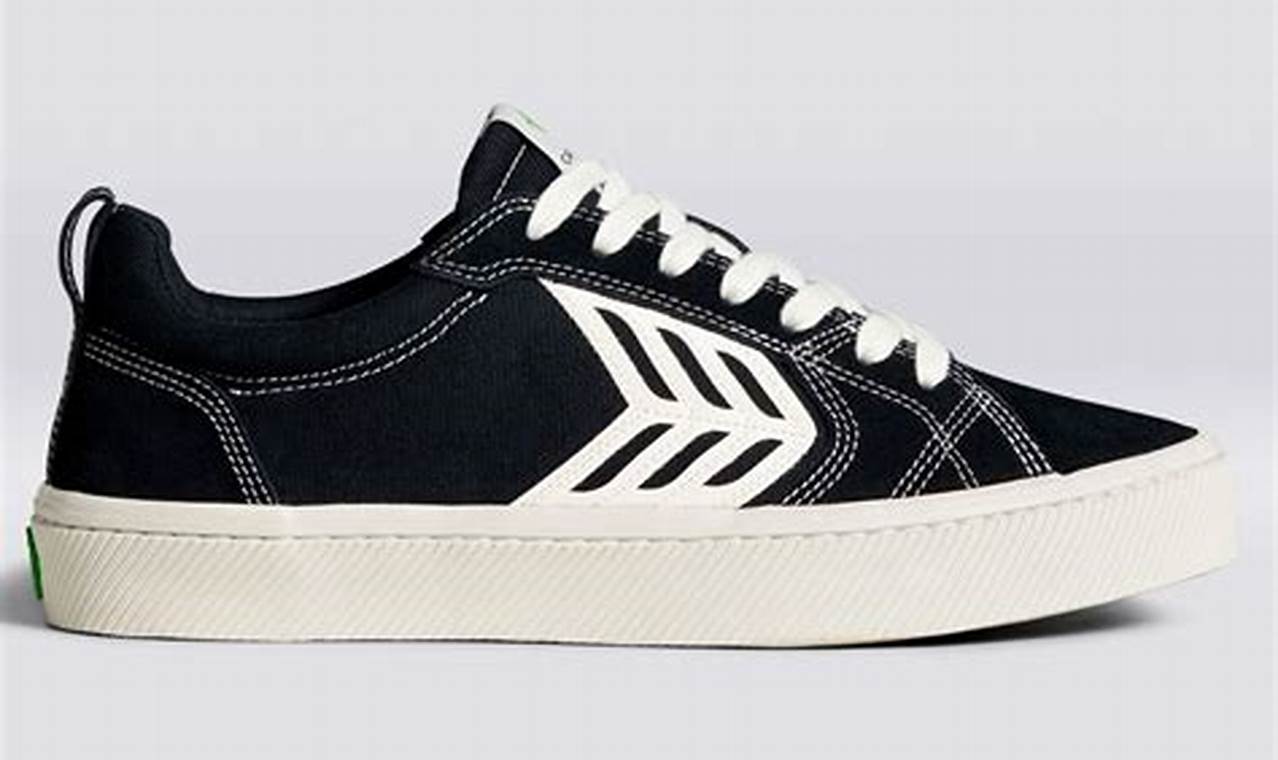 Best Cariuma Skate Shoes: Eco-Friendly & Durable! | Learn to Surf & Skate: A Beginner's Step-by-Step Guide