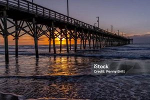 Your Surf City Fishing Pier: Angler's Paradise! | Learn to Surf & Skate: A Beginner's Step-by-Step Guide