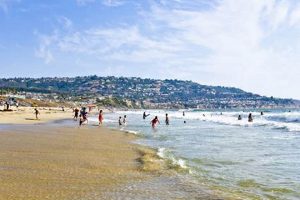 Your Guide: Torrance Beach Surf Report - Check Conditions Now! Learn to Surf & Skate: A Beginner's Step-by-Step Guide Your Guide: Torrance Beach Surf Report - Check Conditions Now! | Learn to Surf & Skate: A Beginner's Step-by-Step Guide