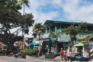Kona Surf Shops: Gear Up & Ride Kailua Waves Learn to Surf & Skate: A Beginner's Step-by-Step Guide Kona Surf Shops: Gear Up & Ride Kailua Waves | Learn to Surf & Skate: A Beginner's Step-by-Step Guide