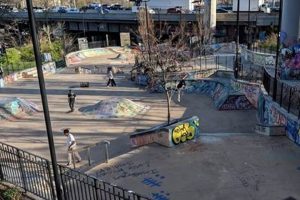 Best Skate Parks in Bronx NY: Your Ultimate Guide | Learn to Surf & Skate: A Beginner's Step-by-Step Guide