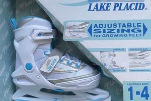 Lake Placid Ice Skates: Gear Up for the Lake! Learn to Surf & Skate: A Beginner's Step-by-Step Guide Lake Placid Ice Skates: Gear Up for the Lake! | Learn to Surf & Skate: A Beginner's Step-by-Step Guide