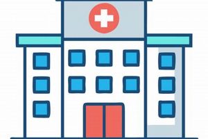 Find Surf City Urgent Care Near You: Quick & Easy | Learn to Surf & Skate: A Beginner's Step-by-Step Guide