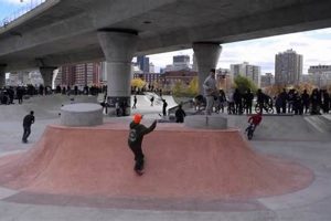 Best Boston Skate Parks: Your Local Guide & More! | Learn to Surf & Skate: A Beginner's Step-by-Step Guide