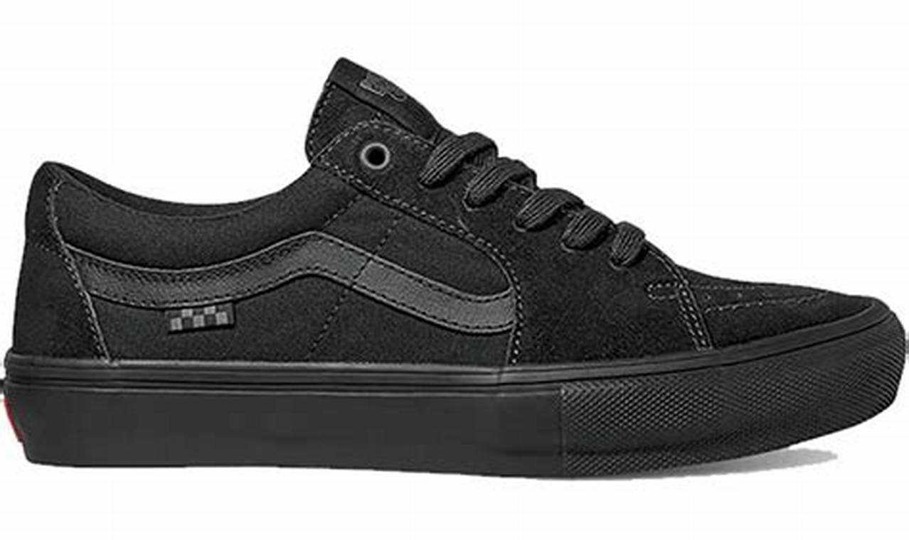 The Best Black Skate Shoes: Style & Performance Kicks! Learn to Surf & Skate: A Beginner's Step-by-Step Guide The Best Black Skate Shoes: Style & Performance Kicks! | Learn to Surf & Skate: A Beginner's Step-by-Step Guide