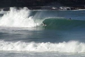 Your Avalon Surf Report Fix: Waves & Tides Today | Learn to Surf & Skate: A Beginner's Step-by-Step Guide