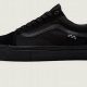 The Iconic Vans Skate Old Skool Shoe: Style & Performance | Learn to Surf & Skate: A Beginner's Step-by-Step Guide