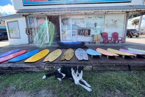 Red Dog Surf Report: Your Local Surf Report Today Learn to Surf & Skate: A Beginner's Step-by-Step Guide Red Dog Surf Report: Your Local Surf Report Today | Learn to Surf & Skate: A Beginner's Step-by-Step Guide