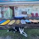 Red Dog Surf Report: Your Local Surf Report Today | Learn to Surf & Skate: A Beginner's Step-by-Step Guide