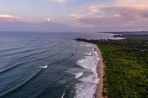 Live Nosara Surf Cam: Check the Waves in Real-Time! Learn to Surf & Skate: A Beginner's Step-by-Step Guide Live Nosara Surf Cam: Check the Waves in Real-Time! | Learn to Surf & Skate: A Beginner's Step-by-Step Guide