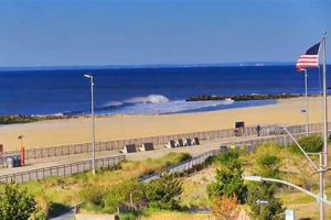 Rockaway Beach Surf Report: Waves &amp; Conditions Today! | Learn to Surf & Skate: A Beginner's Step-by-Step Guide