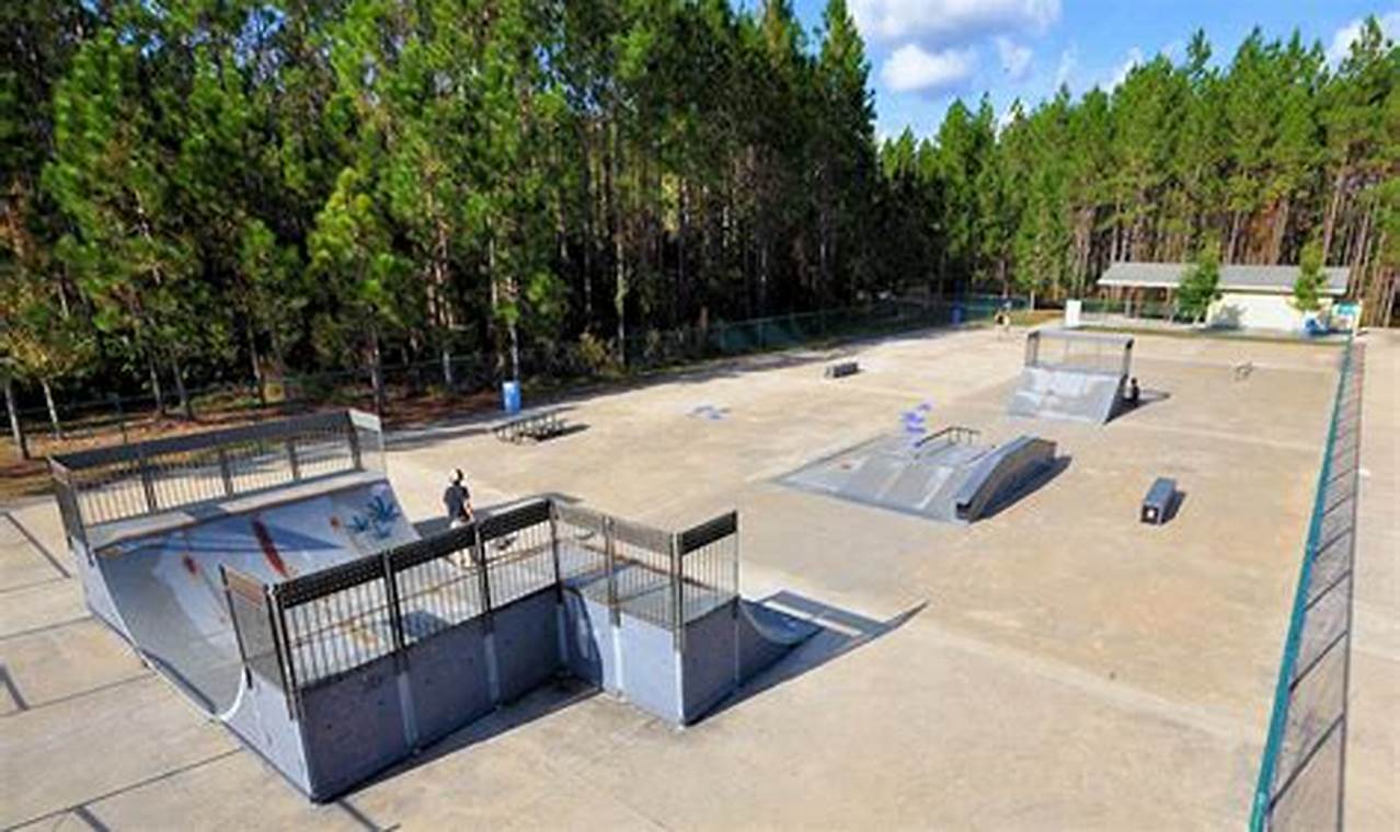 Dedicated Veterans Skate Park: A Hero's Haven | Learn to Surf & Skate: A Beginner's Step-by-Step Guide