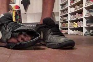 From Worn Out to Art: Trashed Skate Shoes' Second Life | Learn to Surf & Skate: A Beginner's Step-by-Step Guide