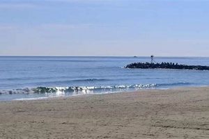 Manasquan NJ Surf Cam: Live Beach View + Forecast | Learn to Surf & Skate: A Beginner's Step-by-Step Guide