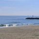 Manasquan NJ Surf Cam: Live Beach View + Forecast | Learn to Surf & Skate: A Beginner's Step-by-Step Guide