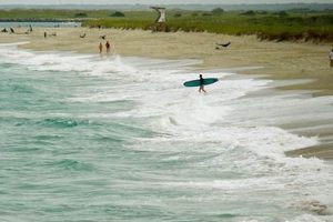 Your Guide: Surf Checks Wrightsville Beach Conditions Today | Learn to Surf & Skate: A Beginner's Step-by-Step Guide