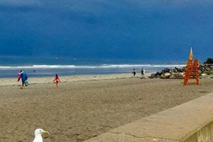 Your Guide: Jenness Beach NH Surf Cam Info & Conditions Learn to Surf & Skate: A Beginner's Step-by-Step Guide Your Guide: Jenness Beach NH Surf Cam Info & Conditions | Learn to Surf & Skate: A Beginner's Step-by-Step Guide