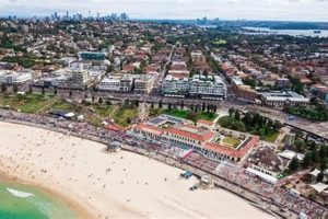 Coastal Surf City Flowers: Beach-Inspired Bouquets | Learn to Surf & Skate: A Beginner's Step-by-Step Guide