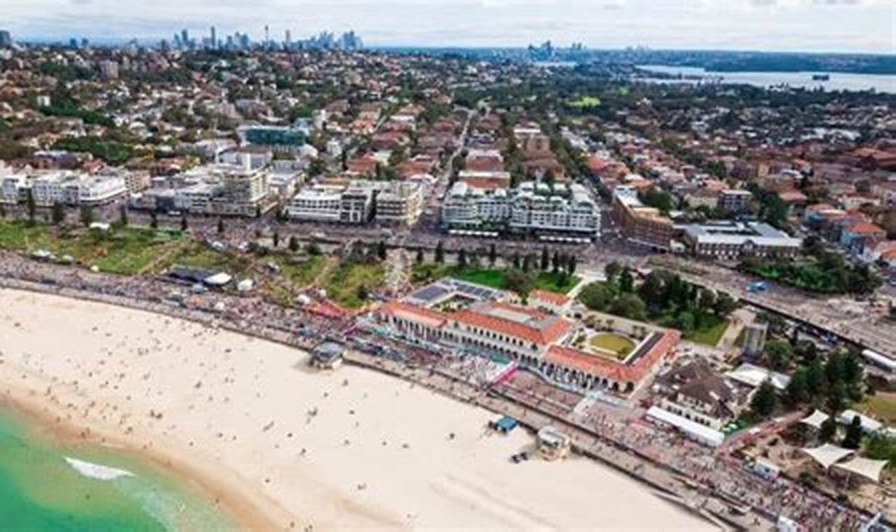 Coastal Surf City Flowers: Beach-Inspired Bouquets | Learn to Surf & Skate: A Beginner's Step-by-Step Guide