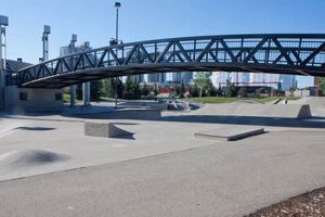 Visit Millennium Skate Park: A Skater's Paradise! | Learn to Surf & Skate: A Beginner's Step-by-Step Guide