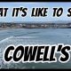 Your Cowells Surf Report: Today's Wave Check + Tips | Learn to Surf & Skate: A Beginner's Step-by-Step Guide